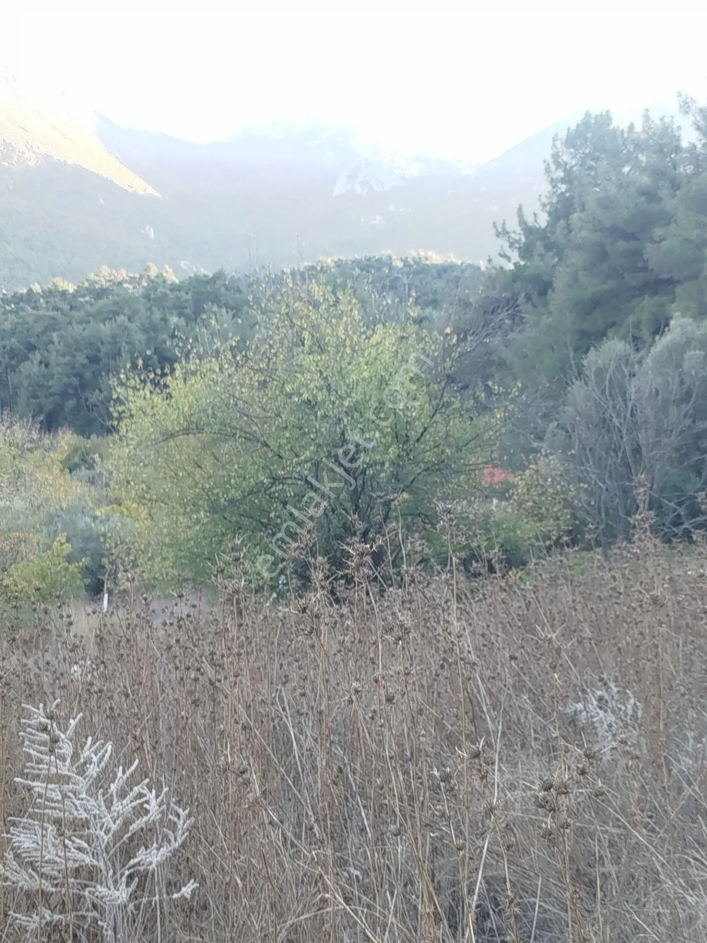Bir Görün..!! — fotoğraf 12