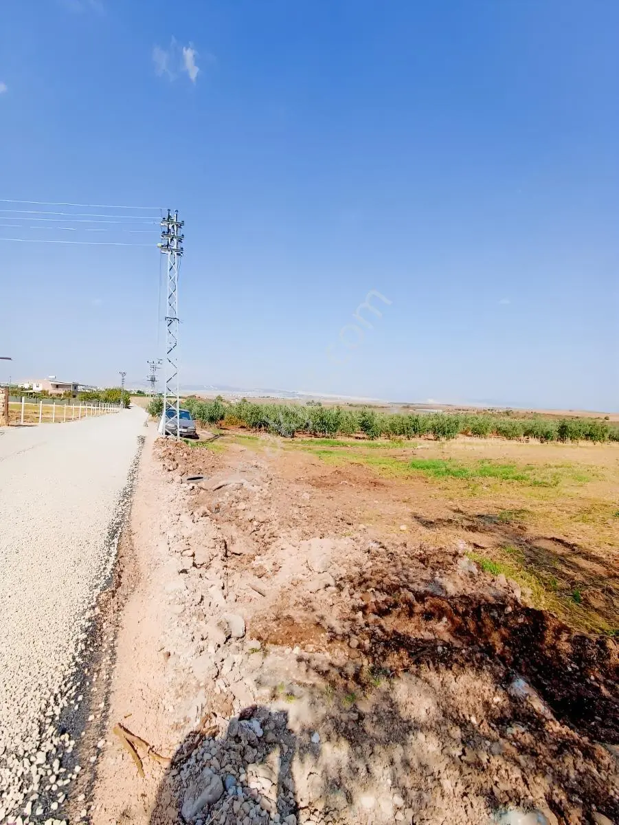 Bir Yapı Emlak'tan Satılık Tarla Büyükkavaklı — fotoğraf 3