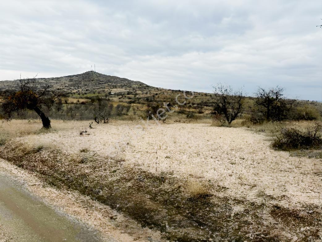 Kadastral Yolu Olan, Düz, Şehre Yakın, Gelişme Aksında