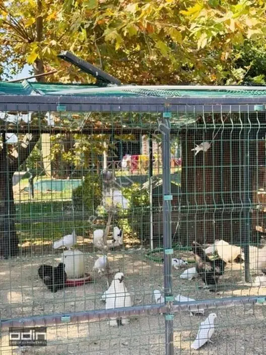 Odin Vizyon 4 Mevsim Sitesi Bahçe Kat Peyzaj Karşısı 3+1 Satılık — fotoğraf 6