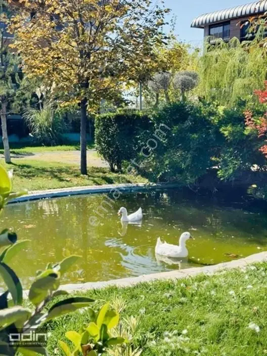 Odin Vizyon 4 Mevsim Sitesi Bahçe Kat Peyzaj Karşısı 3+1 Satılık — fotoğraf 8