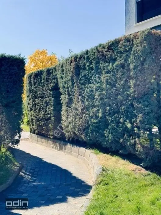 Odin Vizyon 4 Mevsim Sitesi Bahçe Kat Peyzaj Karşısı 3+1 Satılık — fotoğraf 21