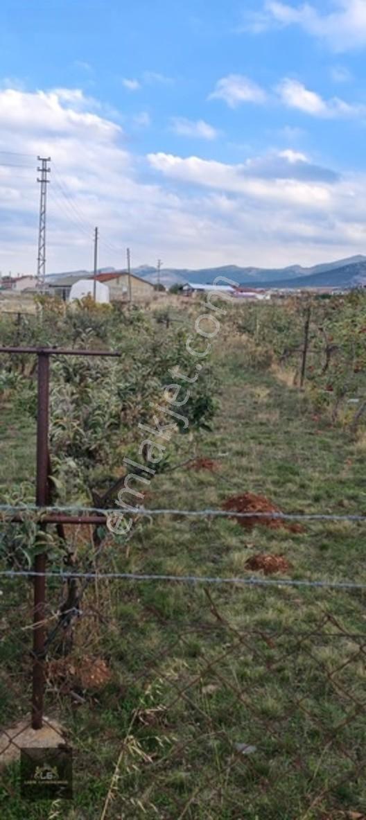 Ladik Mahallesi Çanakçı Mevkii 450 M2 Konut İmarlı Köşebaşı Arsa — fotoğraf 2