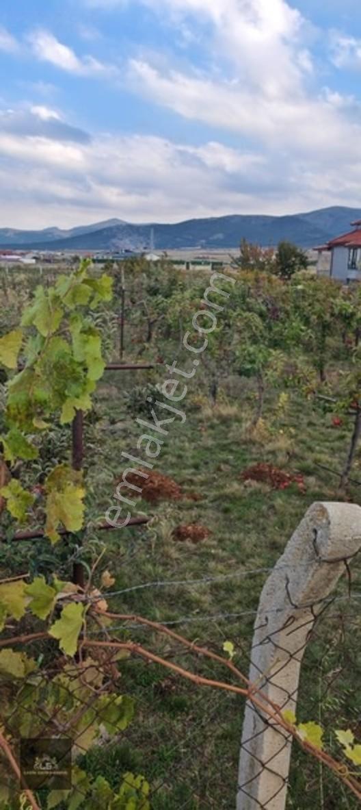 Ladik Mahallesi Çanakçı Mevkii 450 M2 Konut İmarlı Köşebaşı Arsa — fotoğraf 4