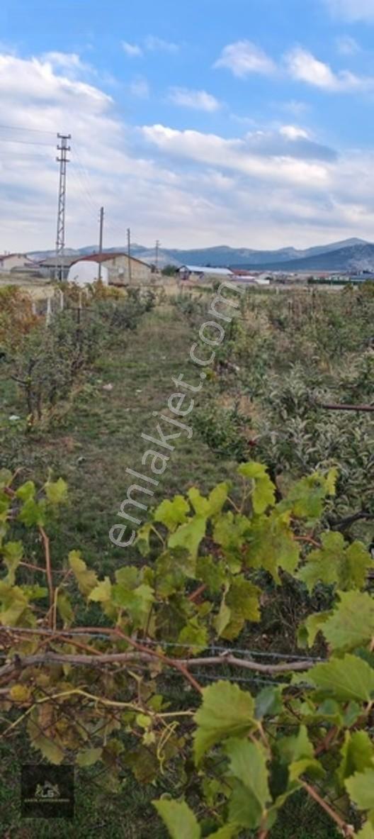 Ladik Mahallesi Çanakçı Mevkii 450 M2 Konut İmarlı Köşebaşı Arsa — fotoğraf 5