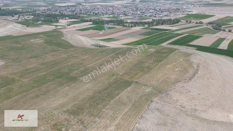 Meram Kavak'Ta 7.500 M² Müstakil Tarla! Bahçe Yapımına Uygun