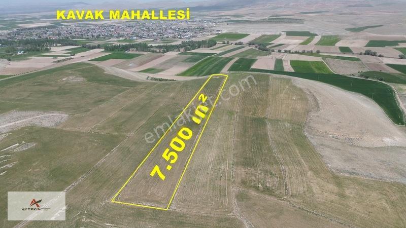Meram Kavak'ta 7.500 M² Müstakil Tarla! Bahçe Yapımına Uygun — fotoğraf 2