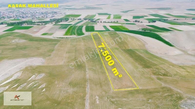 Meram Kavak'ta 7.500 M² Müstakil Tarla! Bahçe Yapımına Uygun — fotoğraf 3