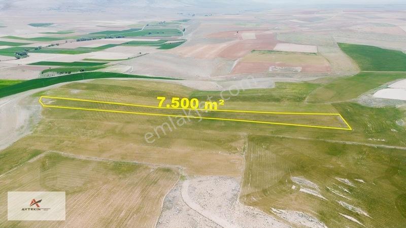 Meram Kavak'ta 7.500 M² Müstakil Tarla! Bahçe Yapımına Uygun — fotoğraf 4