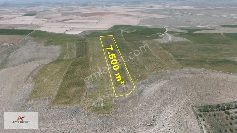Meram Kavak'ta 7.500 M² Müstakil Tarla! Bahçe Yapımına Uygun — fotoğraf 5