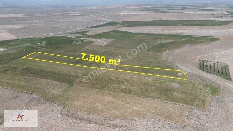 Meram Kavak'ta 7.500 M² Müstakil Tarla! Bahçe Yapımına Uygun — fotoğraf 6