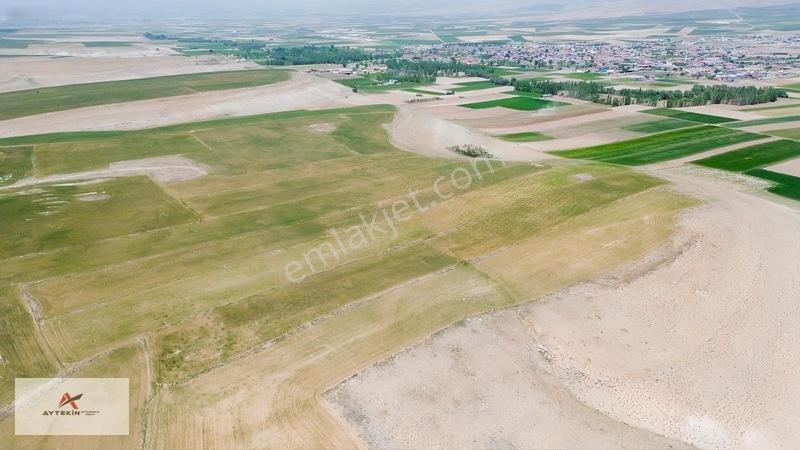 Meram Kavak'ta 7.500 M² Müstakil Tarla! Bahçe Yapımına Uygun — fotoğraf 7