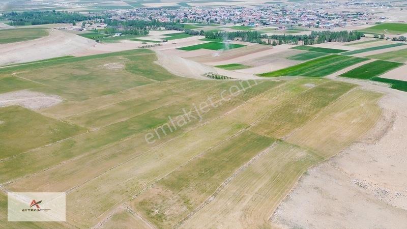 Meram Kavak'ta 7.500 M² Müstakil Tarla! Bahçe Yapımına Uygun — fotoğraf 9