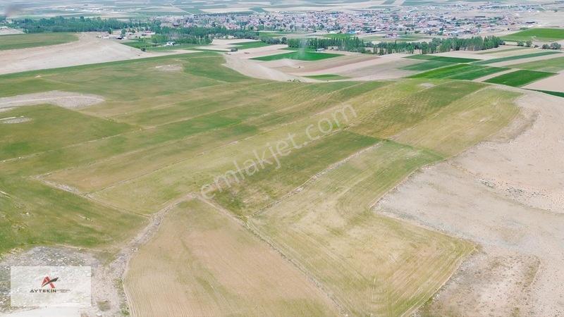 Meram Kavak'ta 7.500 M² Müstakil Tarla! Bahçe Yapımına Uygun — fotoğraf 11