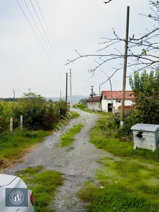 Söğütlü'de Osb Yakını, Konut İmarı Olan 4832m² Satılık Arsa — fotoğraf 4