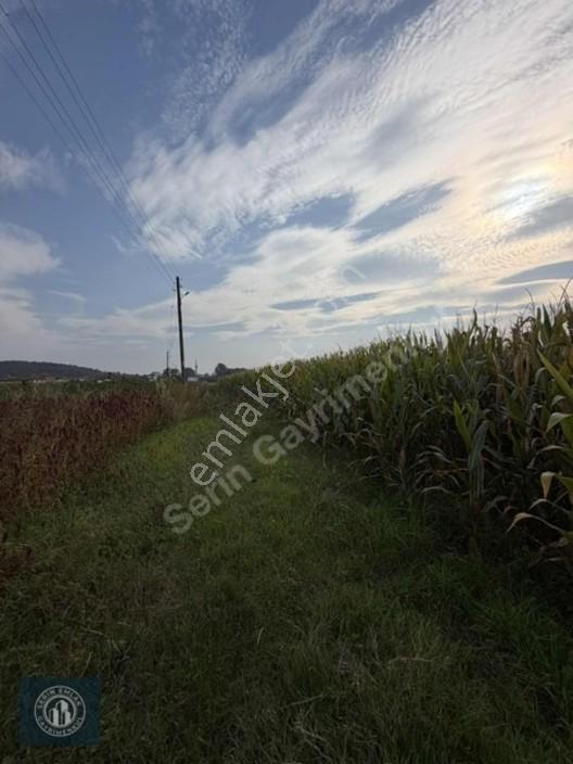 Söğütlü'de Osb Yakını, Konut İmarı Olan 4832m² Satılık Arsa — fotoğraf 15