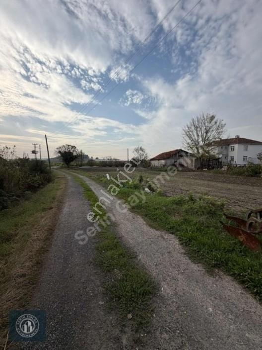Söğütlü'de Osb Yakını, Konut İmarı Olan 4832m² Satılık Arsa — fotoğraf 34