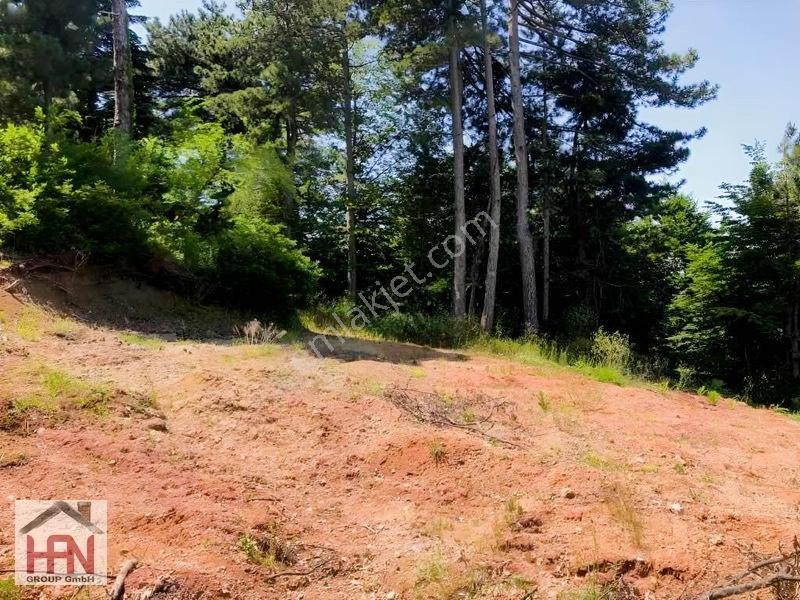 Alaçam'da Köy İçin De İmarın Dibinde 2.500 M2 Bahçe — fotoğraf 4