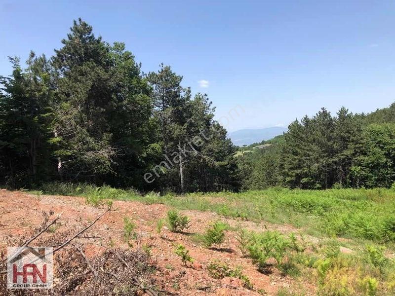 Alaçam'da Köy İçin De İmarın Dibinde 2.500 M2 Bahçe — fotoğraf 5