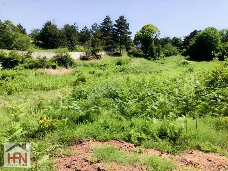 Alaçam'da Köy İçin De İmarın Dibinde 2.500 M2 Bahçe — fotoğraf 9