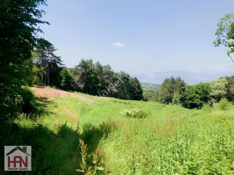 Alaçam'da Köy İçin De İmarın Dibinde 2.500 M2 Bahçe — fotoğraf 12