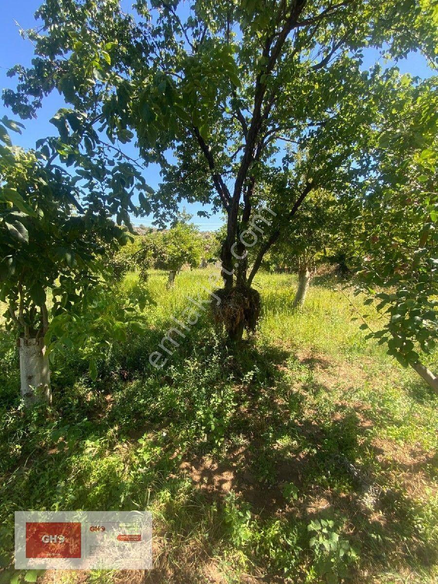 Pınarbaşı'nda Kaçmaz Hobi Bahçesi — fotoğraf 2