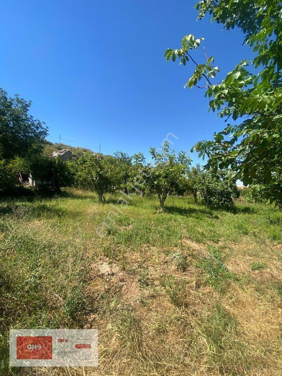 Pınarbaşı'nda Kaçmaz Hobi Bahçesi — fotoğraf 3