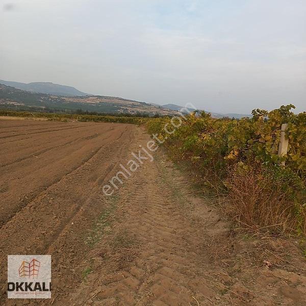 Okkalı Emlak Tan Menemen Yayla Mah. De Satılık Bağ — fotoğraf 20
