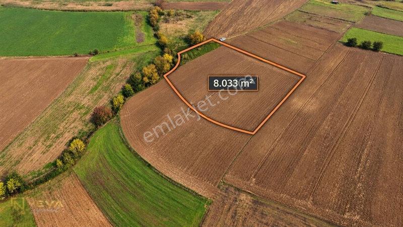 Kocaeli Yenice Mahallesinde Satılık 8033 M2 Tarla
