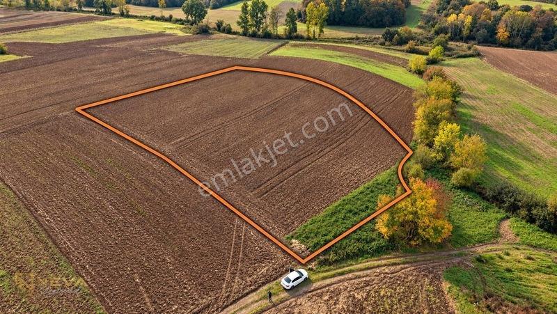 Kocaeli Yenice Mahallesinde Satılık 8033 M2 Tarla — fotoğraf 4