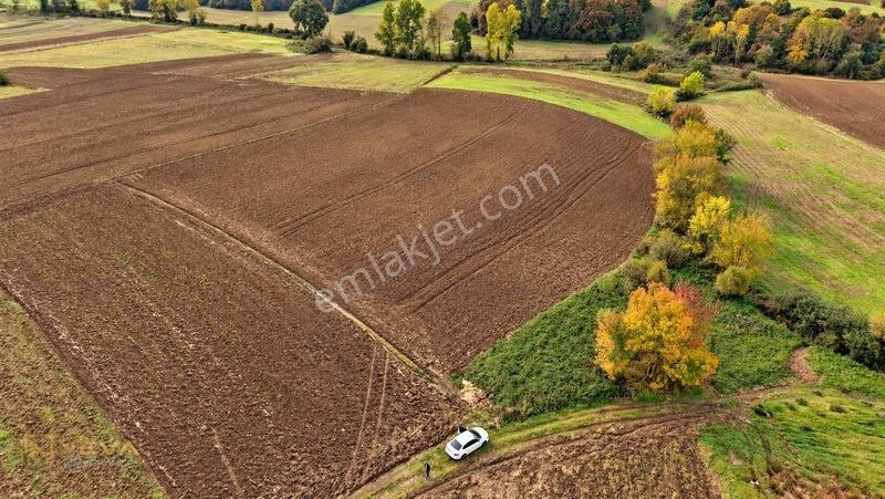 Kocaeli Yenice Mahallesinde Satılık 8033 M2 Tarla — fotoğraf 5