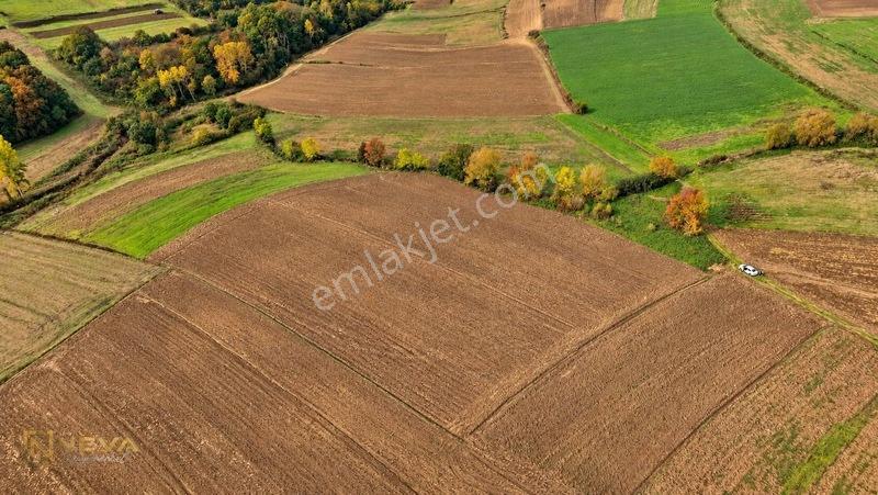 Kocaeli Yenice Mahallesinde Satılık 8033 M2 Tarla — fotoğraf 6