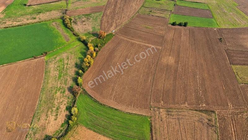 Kocaeli Yenice Mahallesinde Satılık 8033 M2 Tarla — fotoğraf 7