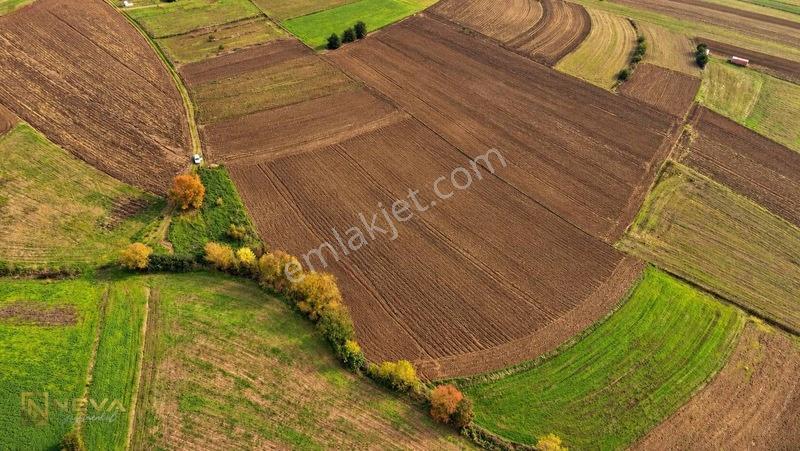 Kocaeli Yenice Mahallesinde Satılık 8033 M2 Tarla — fotoğraf 8
