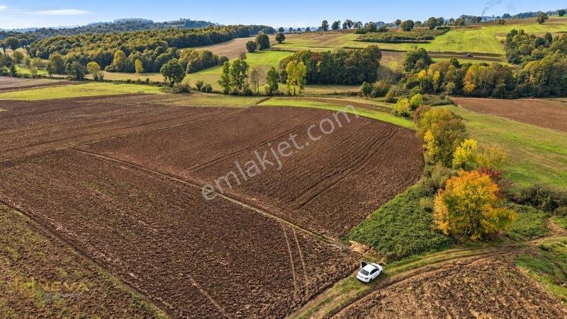 Kocaeli Yenice Mahallesinde Satılık 8033 M2 Tarla — fotoğraf 9