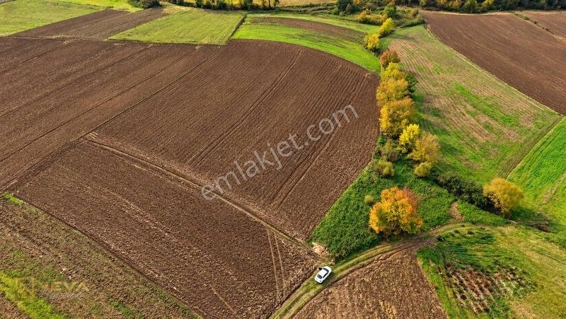 Kocaeli Yenice Mahallesinde Satılık 8033 M2 Tarla — fotoğraf 10