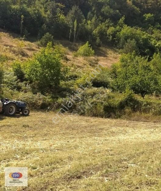Tig Gayrimenkuldel'Den Dipsizgöl'De Yatırımlık Tarla