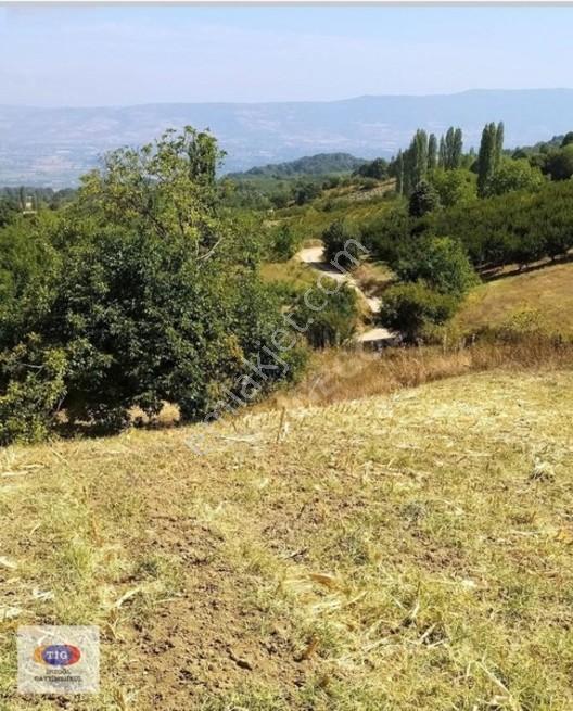 Tig Gayrimenkuldel'den Dipsizgöl'de Yatırımlık Tarla — fotoğraf 2