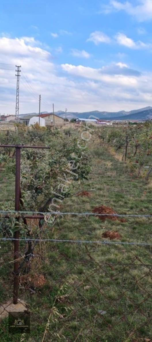 Ladik Mahallesi Çanakçı Mevkii Satılık 489 M2 Konut İmarlı Arsa — fotoğraf 2