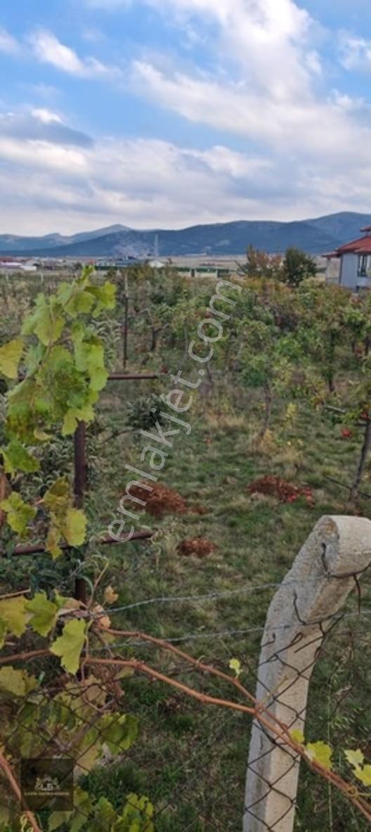 Ladik Mahallesi Çanakçı Mevkii Satılık 489 M2 Konut İmarlı Arsa — fotoğraf 4