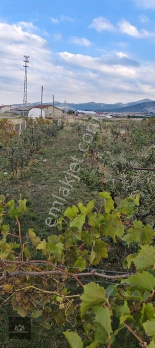 Ladik Mahallesi Çanakçı Mevkii Satılık 489 M2 Konut İmarlı Arsa — fotoğraf 5