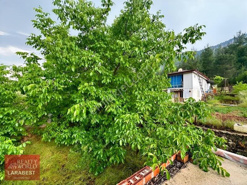 Bucak Beşkonak'ta Doğayla İç İçe Satılık 1666 M² Tarla Ve 1+1 Ev — fotoğraf 3