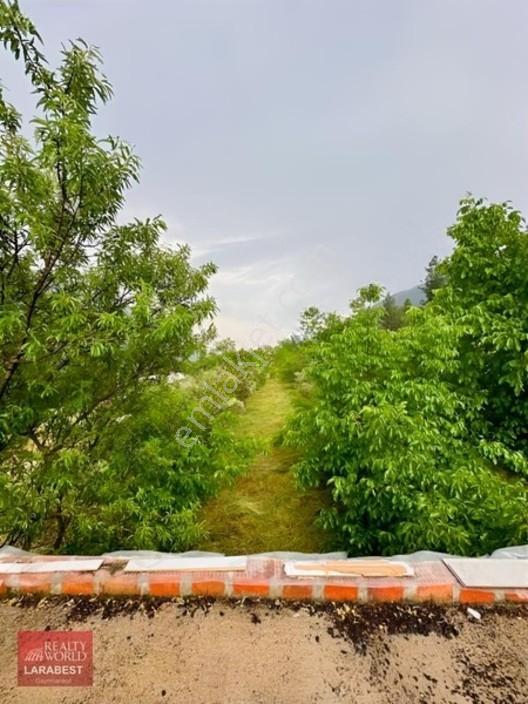 Bucak Beşkonak'ta Doğayla İç İçe Satılık 1666 M² Tarla Ve 1+1 Ev — fotoğraf 4