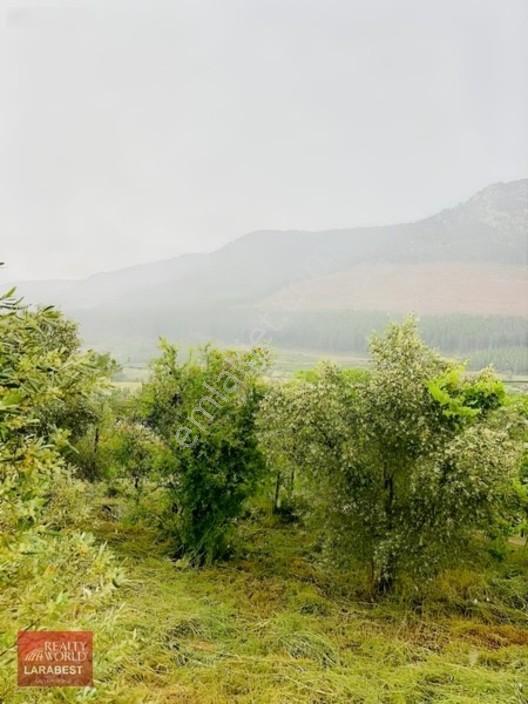 Bucak Beşkonak'ta Doğayla İç İçe Satılık 1666 M² Tarla Ve 1+1 Ev — fotoğraf 6
