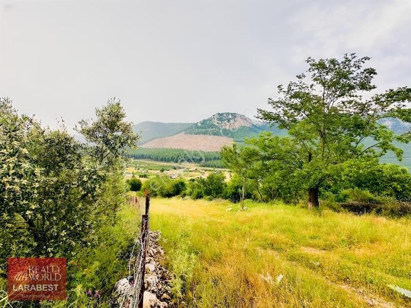 Bucak Beşkonak'ta Doğayla İç İçe Satılık 1666 M² Tarla Ve 1+1 Ev — fotoğraf 11