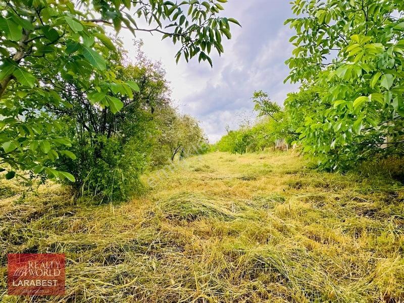 Bucak Beşkonak'ta Doğayla İç İçe Satılık 1666 M² Tarla Ve 1+1 Ev — fotoğraf 12