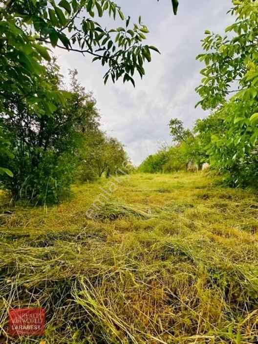 Bucak Beşkonak'ta Doğayla İç İçe Satılık 1666 M² Tarla Ve 1+1 Ev — fotoğraf 13