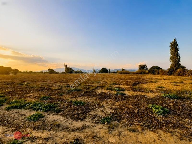 Bergama İslamsarayda Yan Yana Satılık Toplam 22 Dönüm Tarla — fotoğraf 2