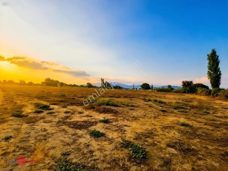 Bergama İslamsarayda Yan Yana Satılık Toplam 22 Dönüm Tarla — fotoğraf 3