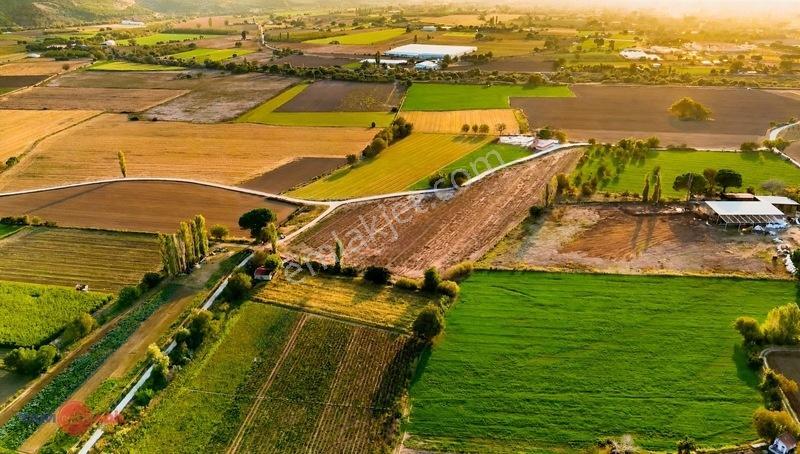 Bergama İslamsarayda Yan Yana Satılık Toplam 22 Dönüm Tarla — fotoğraf 9